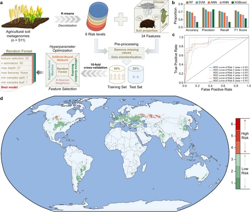 1729144986084.jpg 图片