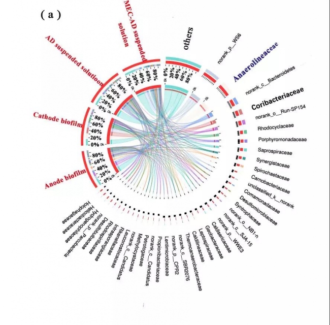 学术先锋4-2 学术先锋4-2