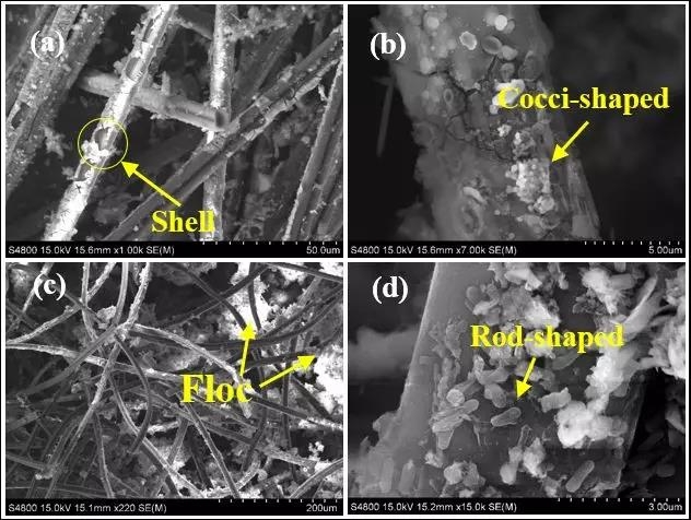 学术先锋4-4 学术先锋4-4