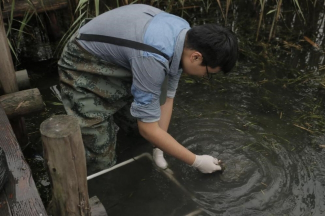 自己下水打捞植物 自己下水打捞植物